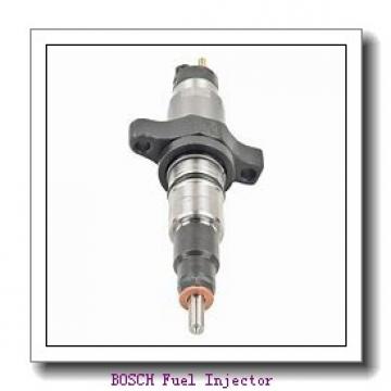 0445110417 BOSCH Fuel Injector