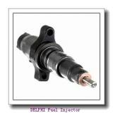 EMBR00301D DELPHI Fuel Injector